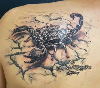 021-tiere- tattoo-hamburg-skinworxx